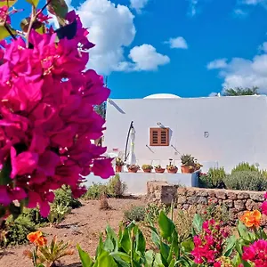 Dammuso Pantelleria - Fiori D'ossidiana , Kamma Italia